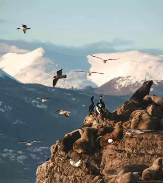 Argentina: Iguazú, Buenos Aires y Ushuaia.